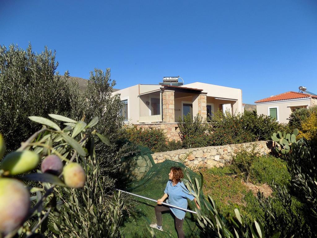 Alkionides Villas Xerokampos  Exteriör bild